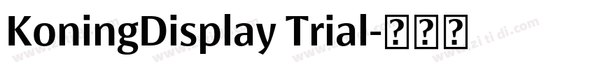 KoningDisplay Trial字体转换